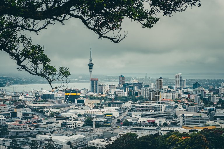 New Zealand Investors Forum