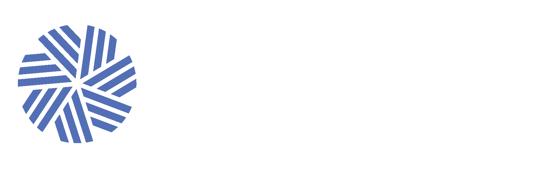 CFA Society South Carolina